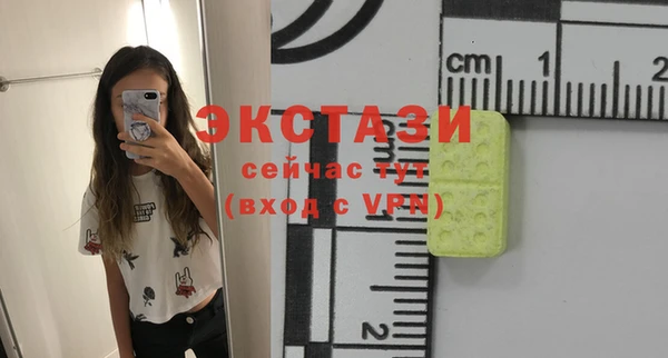гашик Алексин