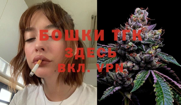 гашик Алексин
