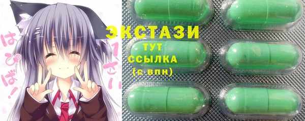 гашик Алексин