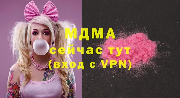 гашик Алексин