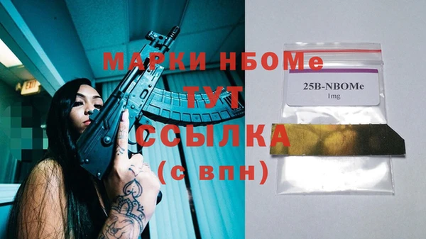 гашик Алексин