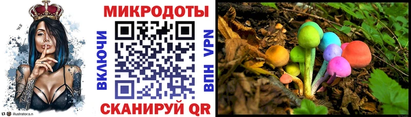 Псилоцибиновые грибы Psilocybine cubensis  Ардон 